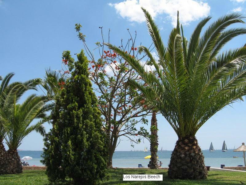 Beautiful 1 Bedroom Apartment In Roda, Los Alcazares. Larger Than Average. Экстерьер фото
